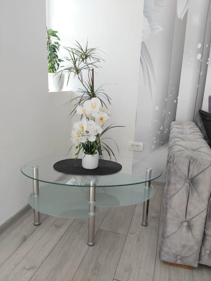 Apartment Marina 2 Kotor Zewnętrze zdjęcie