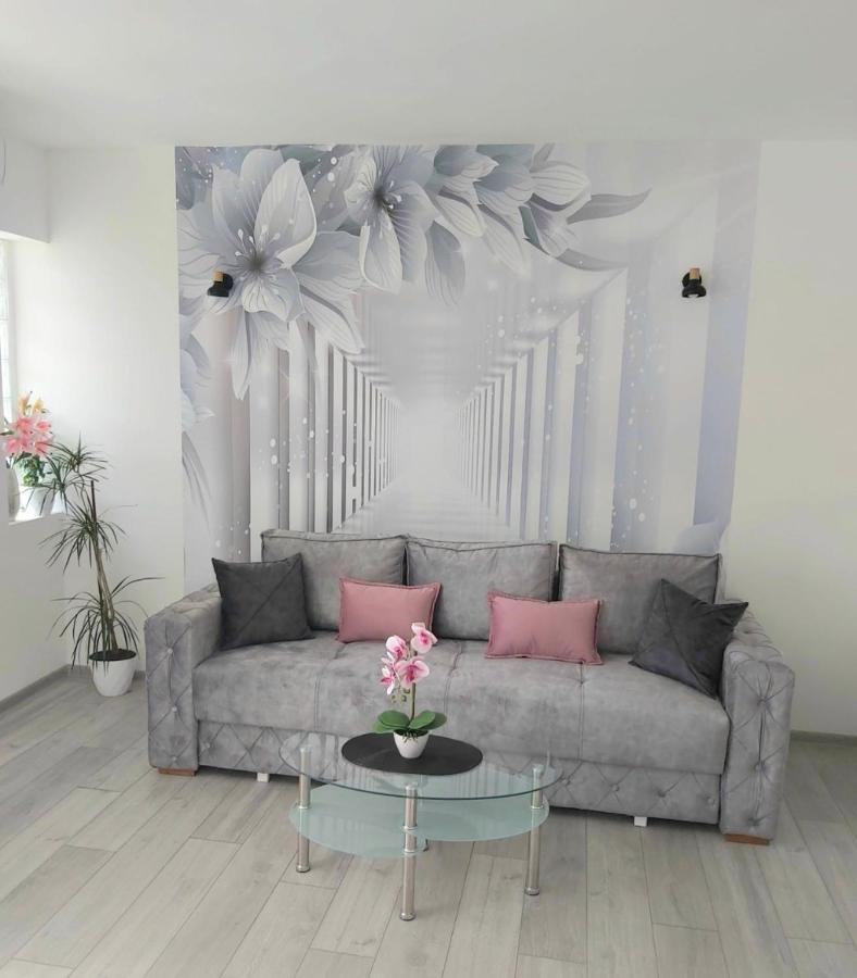 Apartment Marina 2 Kotor Zewnętrze zdjęcie