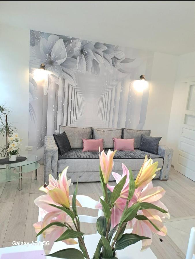 Apartment Marina 2 Kotor Zewnętrze zdjęcie