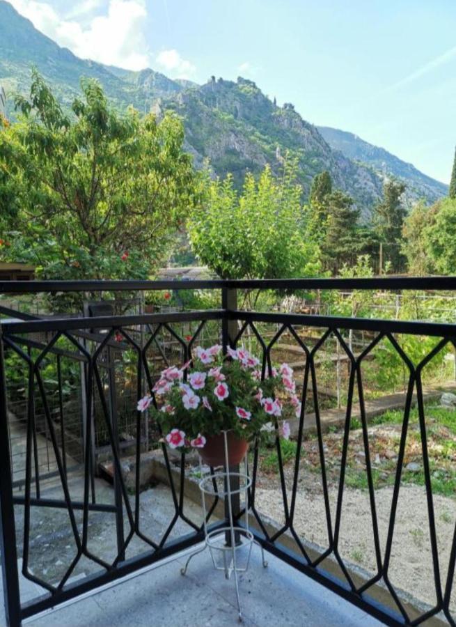 Apartment Marina 2 Kotor Zewnętrze zdjęcie